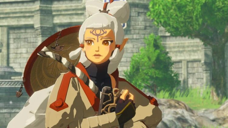 Frame Rate And Resolution For Hyrule Warriors: Age Of Calamity Demo Revealed