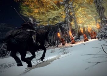 There is a wall surface in Elden Ring that will just boil down if you strike it 50 times