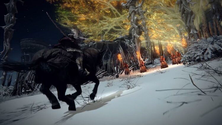 There is a wall surface in Elden Ring that will just boil down if you strike it 50 times