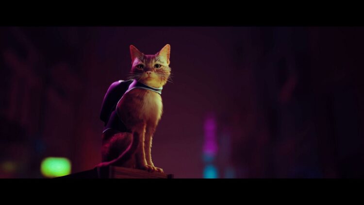 Stray's launch day may've been inadvertently dripped by the PlayStation data source