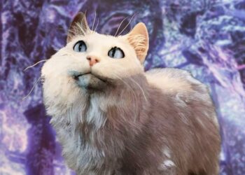 rewrite this title to be trendy and engaging Baldur's Gate 3's latest hotfix gets rid of "trippy, high-saturation graphical artefacts", but also totally breaks everyone's immersion by making cats actually obey people