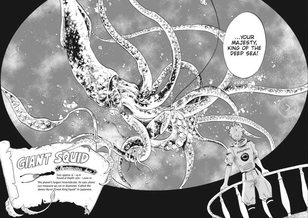 An Isopod's Eye View
