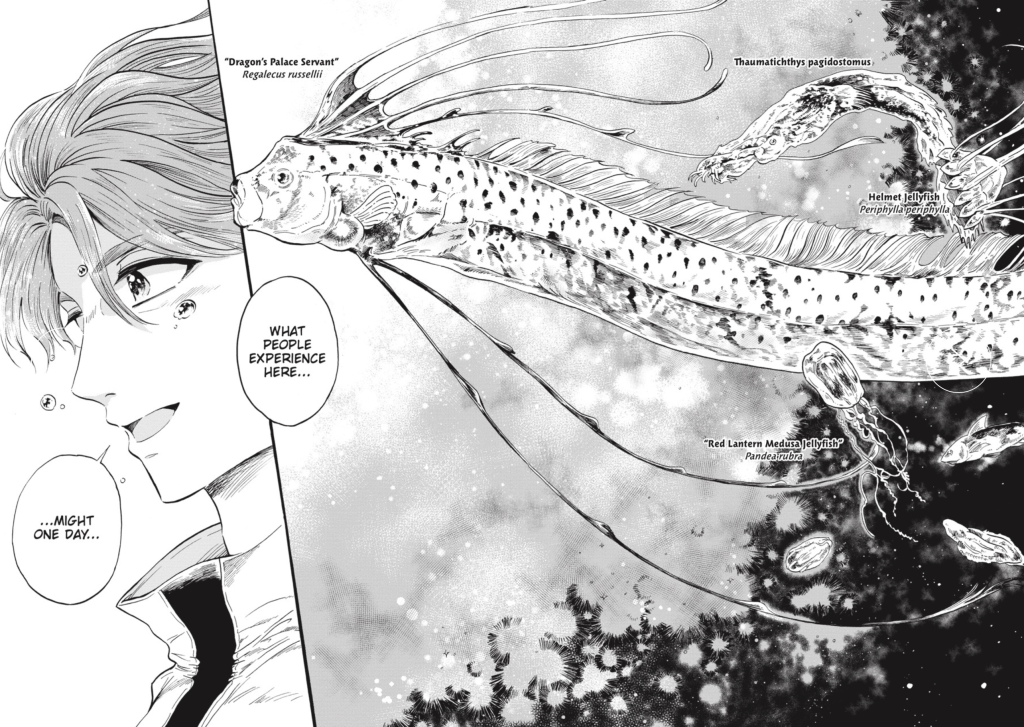 Dive into Magmell